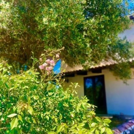 Camera Villa Sarda Aurora Elmas Ngoại thất bức ảnh