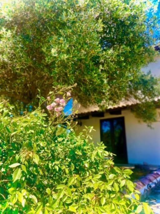 Camera Villa Sarda Aurora Elmas Ngoại thất bức ảnh